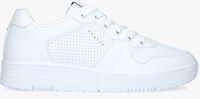 Witte CRUYFF Lage sneakers INDOOR ROYAL - medium
