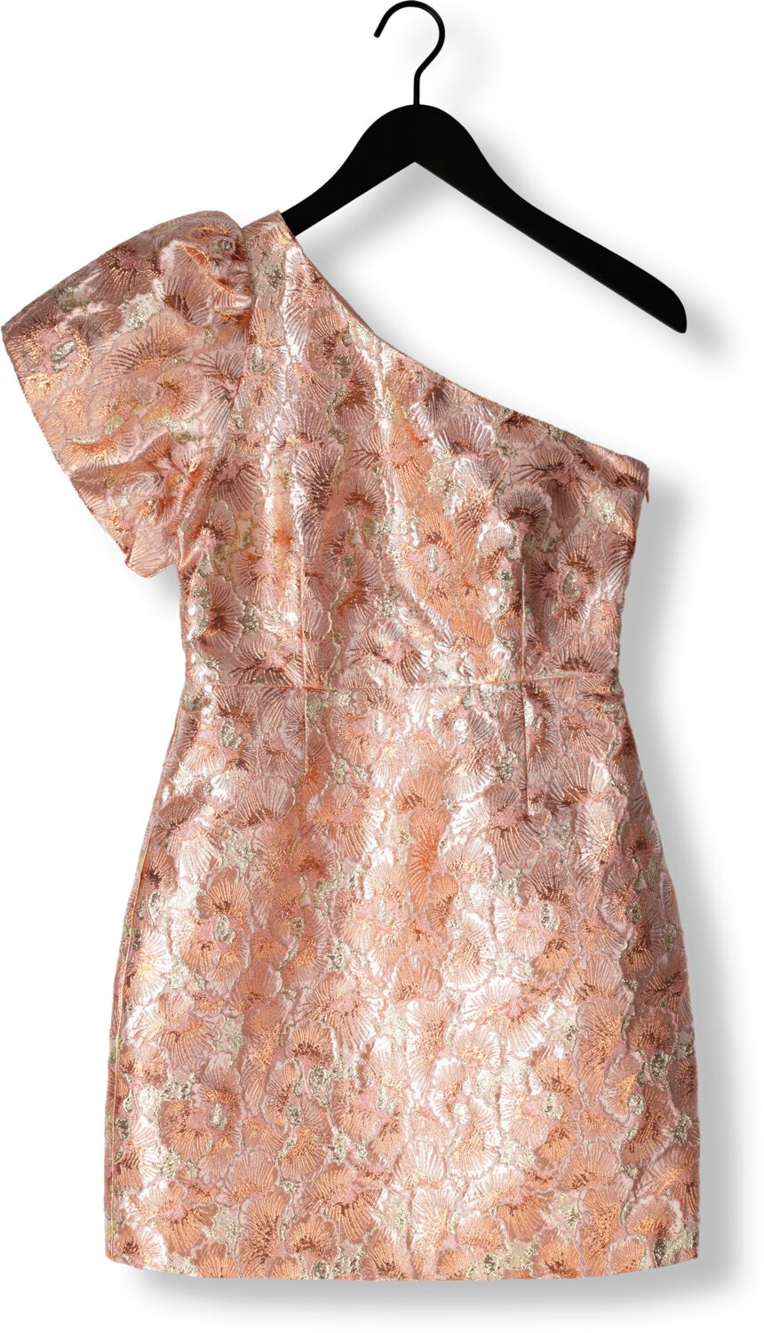 FREEBIRD Dames Jurken Dania Roze
