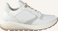 Witte VIA VAI Lage sneakers SWAMI THRILL - medium