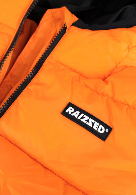 Oranje RAIZZED Gewatteerde jas TARBORO - large