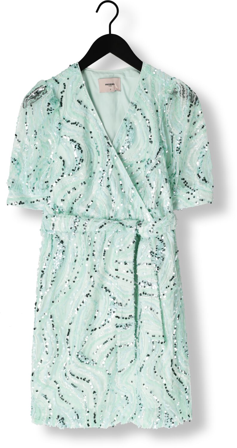 FREEBIRD Dames Jurken Dieke Ss Mint