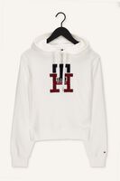 Beige TOMMY HILFIGER Trui LARGE MONOGRAM TH HOODIE Beige TOMMY HILFIGER Trui LARGE MONOGRAM TH HOODIE - medium