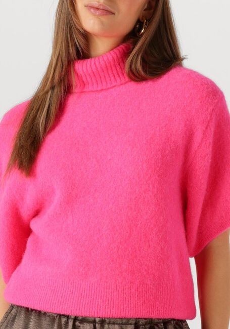 Roze NOTRE-V Trui NV-GUSSIE - large