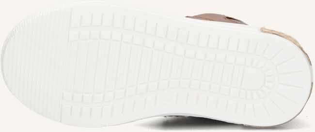Cognac PINOCCHIO Hoge sneakers P2851 Cognac PINOCCHIO Hoge sneakers P2851 - large