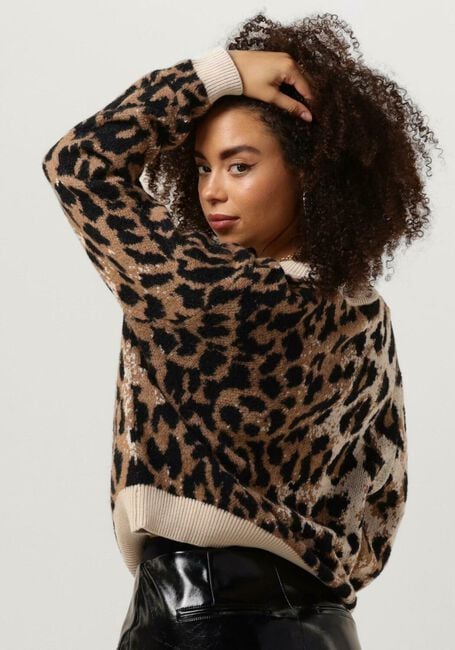 Bruine CATWALK JUNKIE Sweater KN DOVER - large