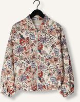 STUDIO AMAYA LIZZY STUDIO AMAYA LIZZY - medium