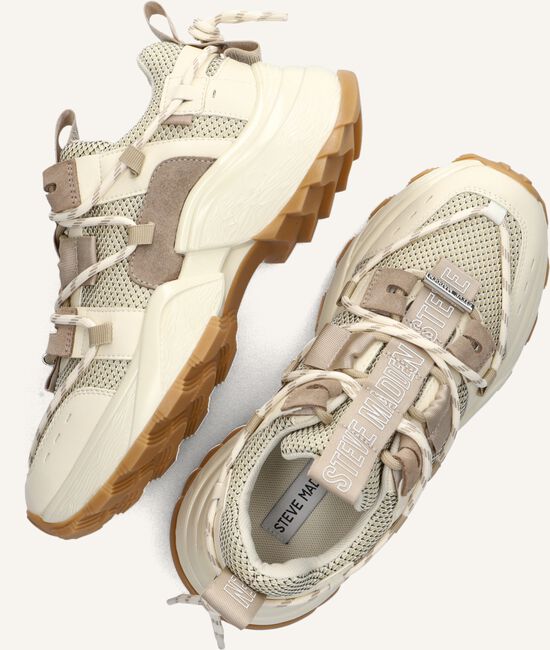 Bruine STEVE MADDEN Lage sneakers TAZMANIA Bruine STEVE MADDEN Lage sneakers TAZMANIA - large