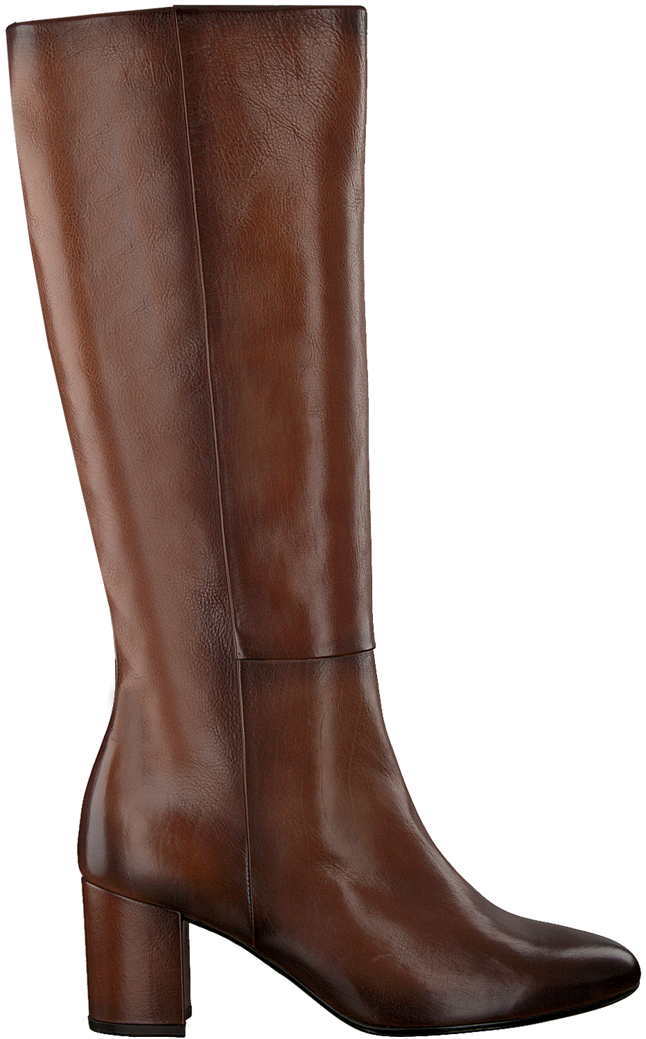 Cognac GABOR Lange laarzen 809 | Omoda Laarzen (lang) | Damesschoenen | Gabor Store
