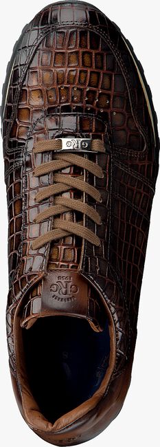 Bruine GIORGIO Lage sneakers HE09501 - large