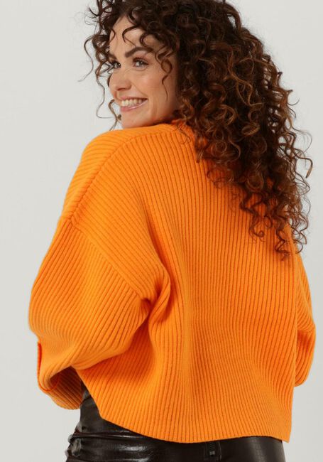 Oranje CO'COUTURE Trui ROW BOX KNIT O-KNIT - large