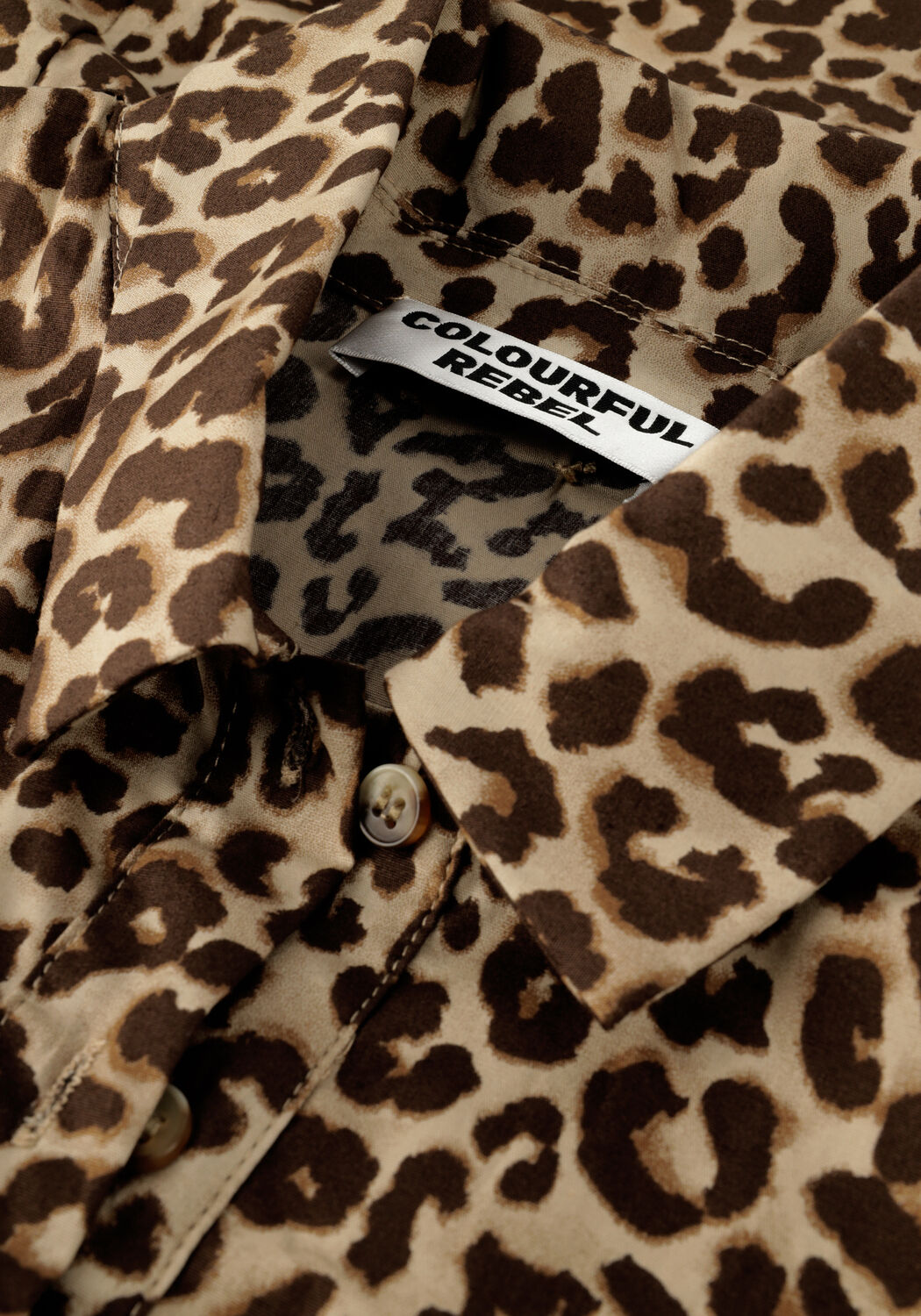 Bruine COLOURFUL REBEL Mini jurk MINON LEOPARD MINI DRESS - large