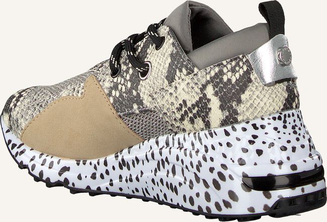 Beige STEVE MADDEN Lage sneakers CLIFF SNEAKER Beige STEVE MADDEN Lage sneakers CLIFF SNEAKER - large