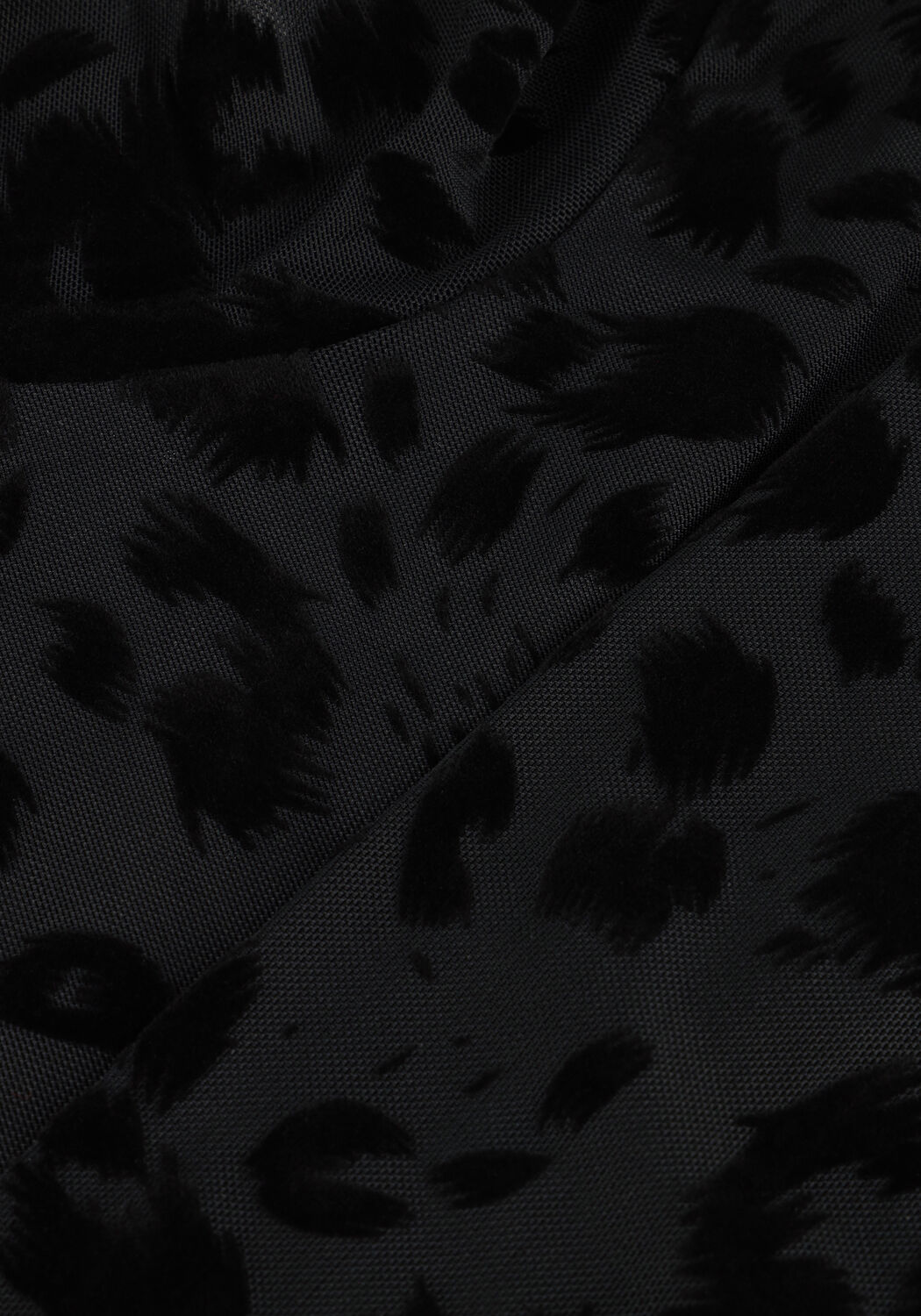 Zwarte COLOURFUL REBEL Top NEYO LEOPARD FLOCK MESH TURTLENECK TOP - large