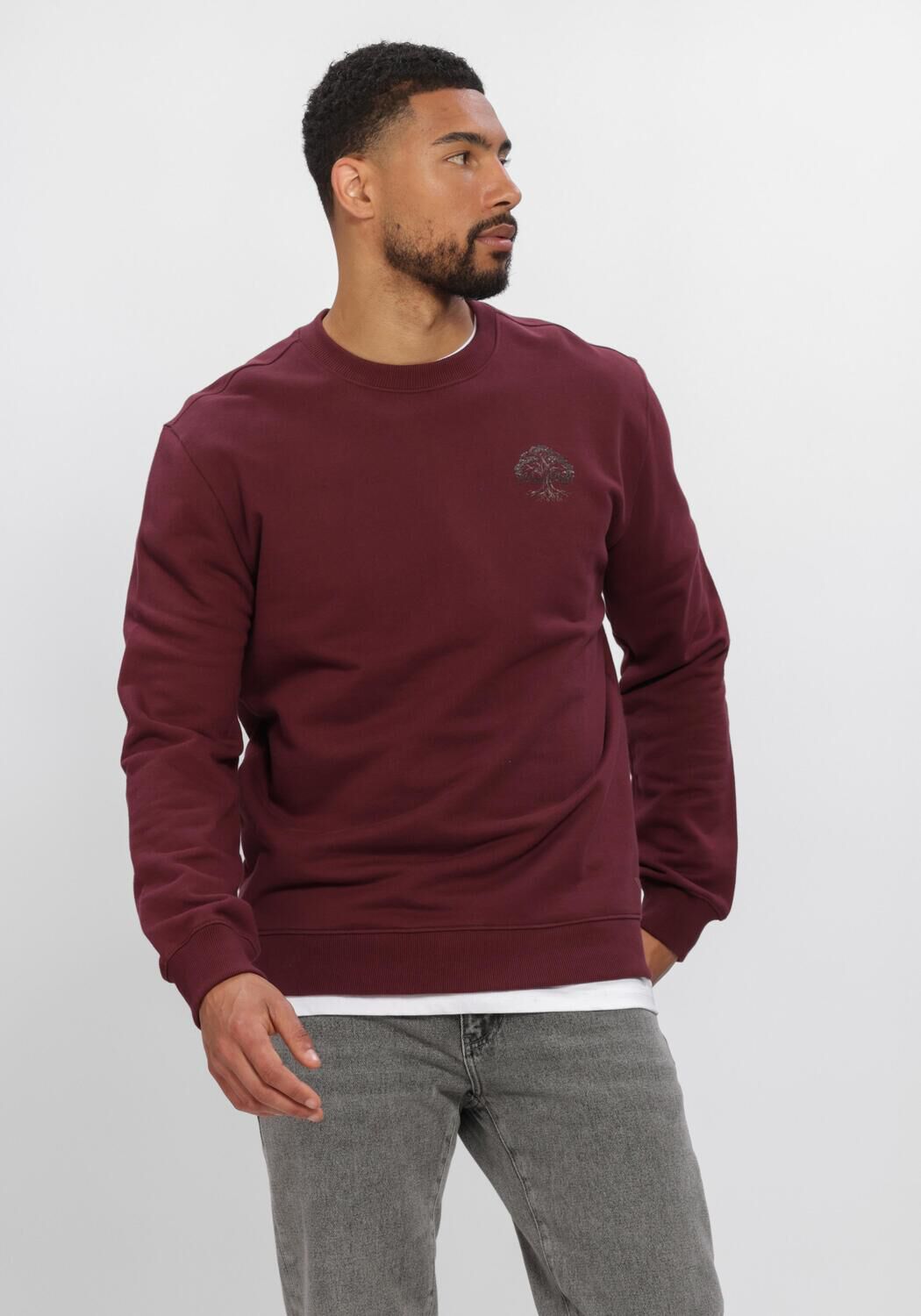 Bordeaux PURE PATH Trui ROOTED TREE - large