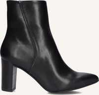 STEFANO LAURAN 011-51 - medium