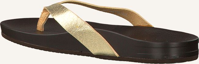 Gouden REEF Teenslippers CUSHION BOUNCE COURT Gouden REEF Teenslippers CUSHION BOUNCE COURT - large