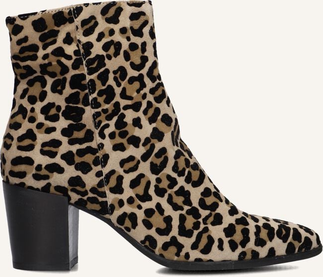 NOTRE-V AT 156 NOTRE-V AT 156 - large