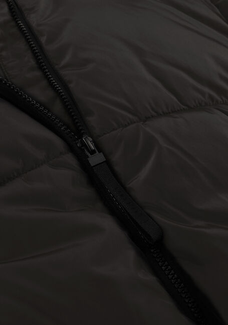 Zwarte CARS JEANS Gewatteerde jas RYTA - large