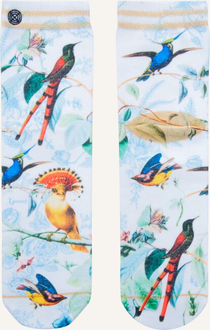 Multi XPOOOS Sokken AMELIE Multi XPOOOS Sokken AMELIE - large