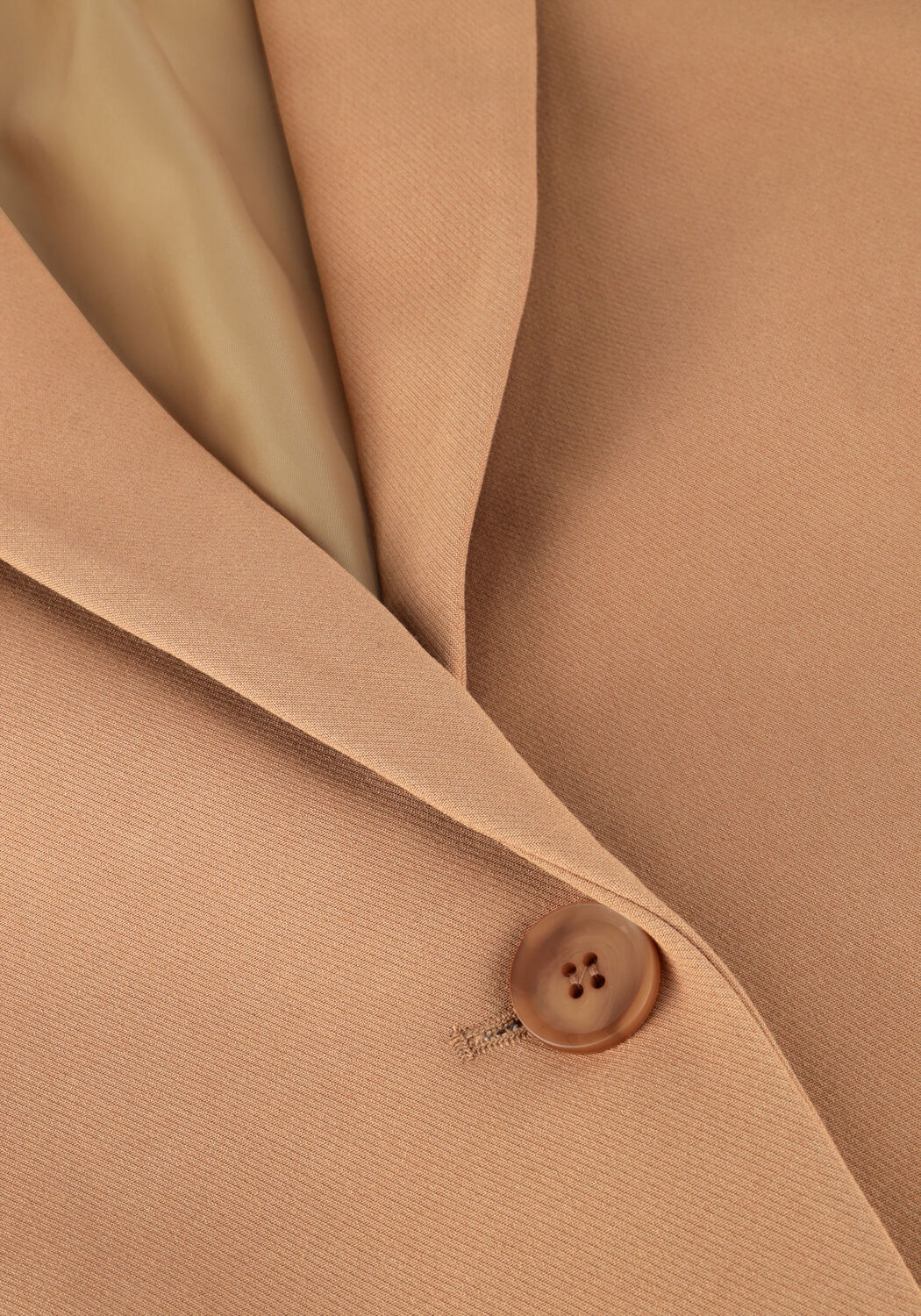 Camel OMODA ATELIER Blazer X IRIS - ISA - large