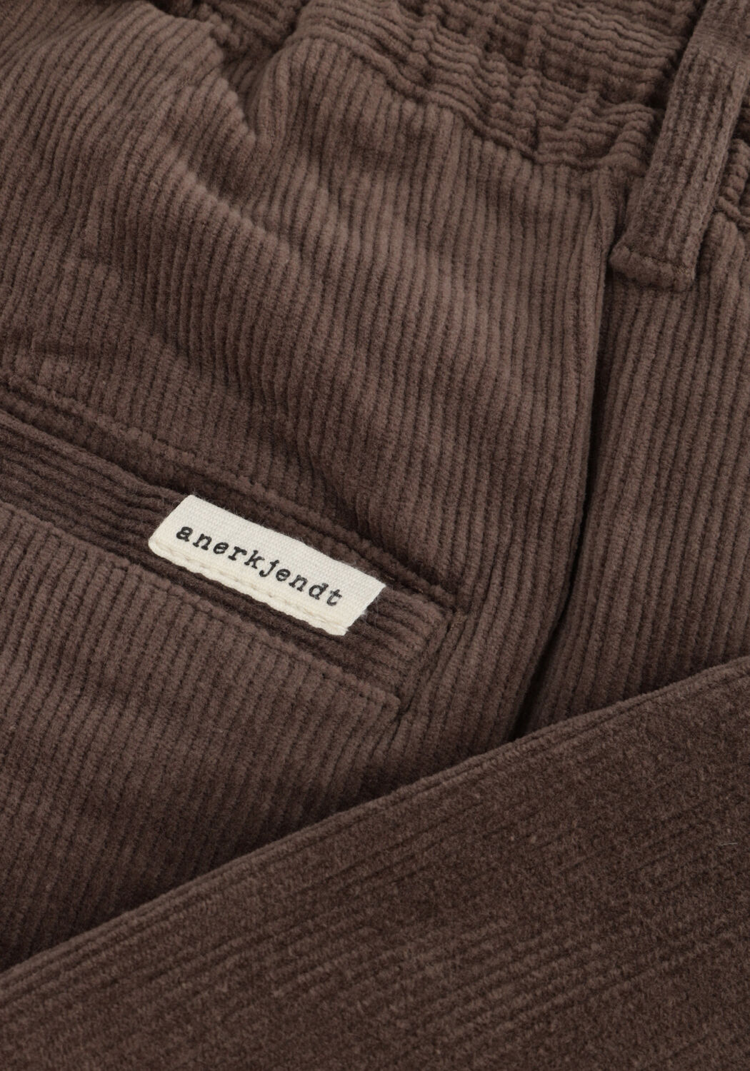 Bruine ANERKJENDT Chino AKJAN ELASTIC CORD PANTS - large