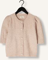 NOTRE-V NV-GOLDA NOTRE-V NV-GOLDA - medium