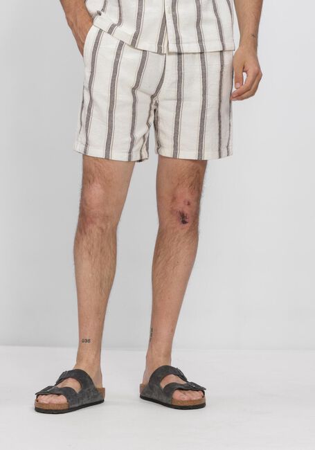 Multi PURE PATH Korte broek STRIPED SHORTS - large