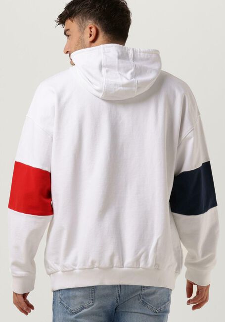 Multi TOMMY JEANS Sweater TJM SKATER ARCHIVE BLOCK HOODIE - large