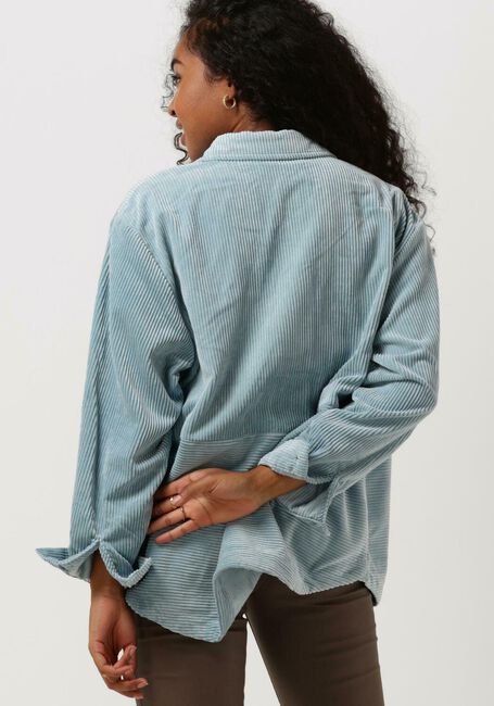 Lichtblauwe MSCH COPENHAGEN Blouses MSCHILIVIA JEPPI SHIRT - large