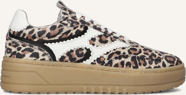 NOTRE-V ANEMONE-63 NOTRE-V ANEMONE-63 - large