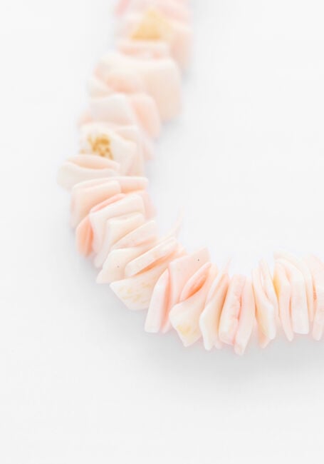 Roze BONNIE STUDIOS Kettingen PINK SHELL NECKLACE Roze BONNIE STUDIOS Kettingen PINK SHELL NECKLACE - large