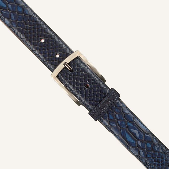 Blauwe FLORIS VAN BOMMEL Riem CFM-10043 Blauwe FLORIS VAN BOMMEL Riem CFM-10043 - large