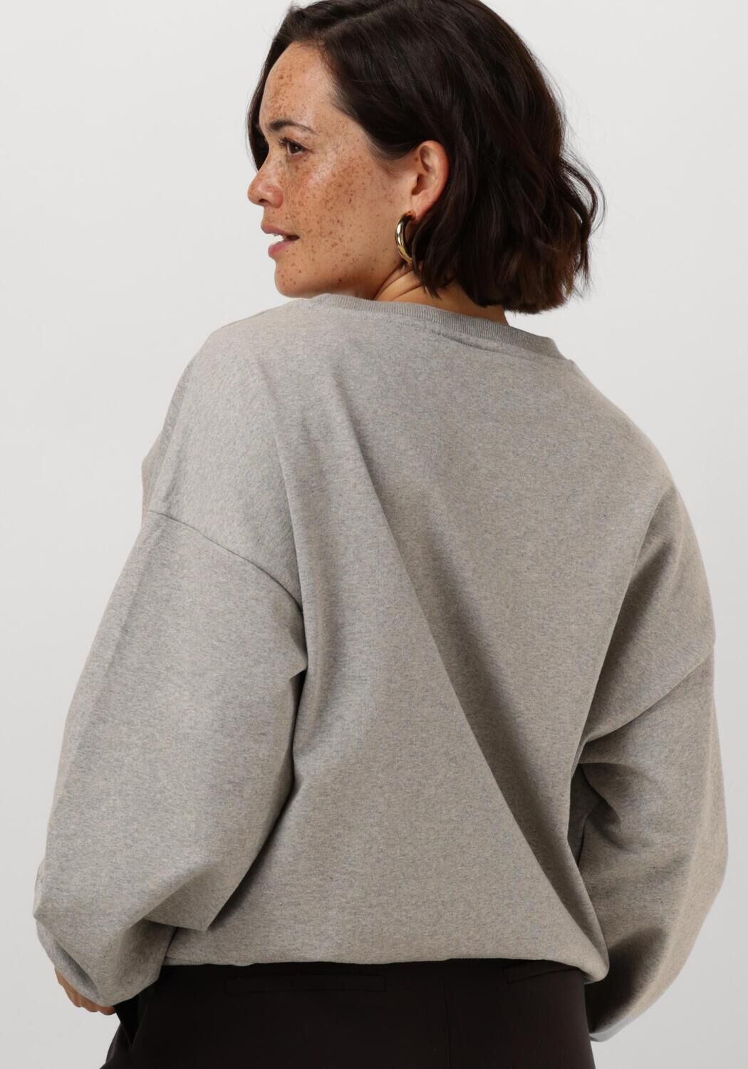 ANOTHER LABEL Dames Truien & Vesten Enna Sweats Lichtgrijs