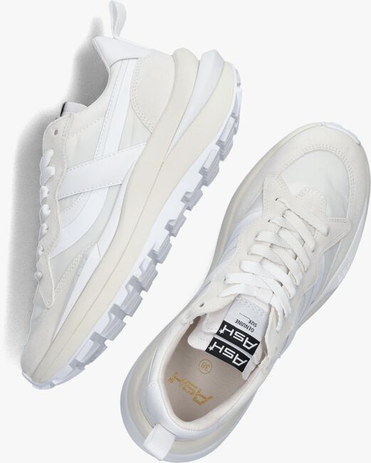 Witte ASH Lage sneakers SPIDER - large