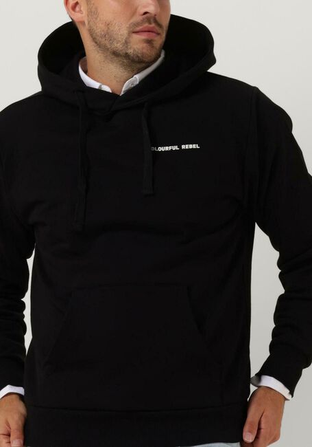 Zwarte COLOURFUL REBEL Sweater CR EST. 2013 BACK PRINT HOODIE - large