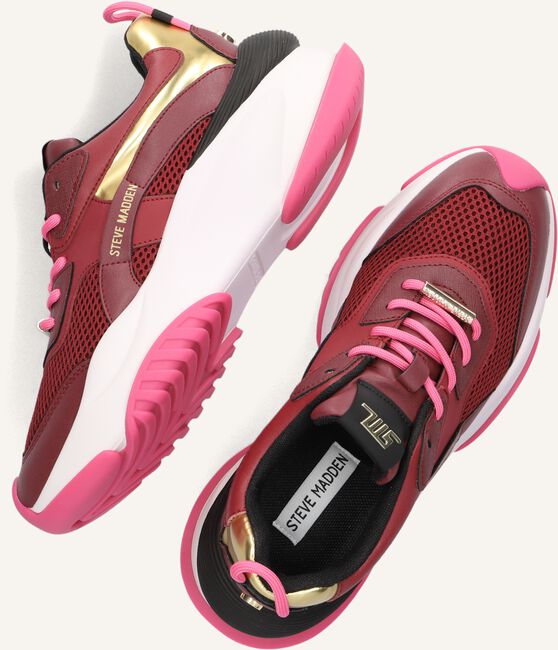 Paarse STEVE MADDEN Lage sneakers BELISSIMO Paarse STEVE MADDEN Lage sneakers BELISSIMO - large