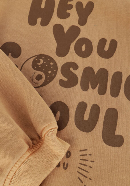 Bruine LOOXS Little Sweater 2431-7332 - large