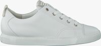 Witte PAUL GREEN Lage sneakers 4435 - medium