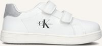 Witte CALVIN KLEIN Lage sneakers 80853 Witte CALVIN KLEIN Lage sneakers 80853 - medium
