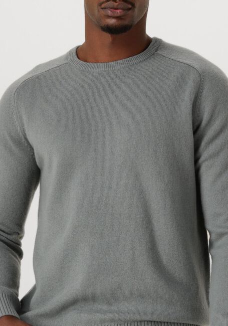 Grijze STEFANO LAURAN Trui CREW L - large