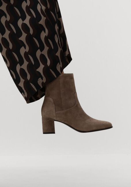 NOTRE-V 8543 NOTRE-V 8543 - large