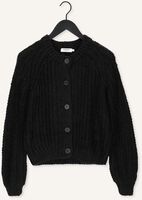 Zwarte MSCH COPENHAGEN Vest JILETTA HEIDI CARDIGAN Zwarte MSCH COPENHAGEN Vest JILETTA HEIDI CARDIGAN - medium