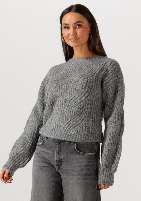 Grijze FREEBIRD Trui KATHLEEN - large