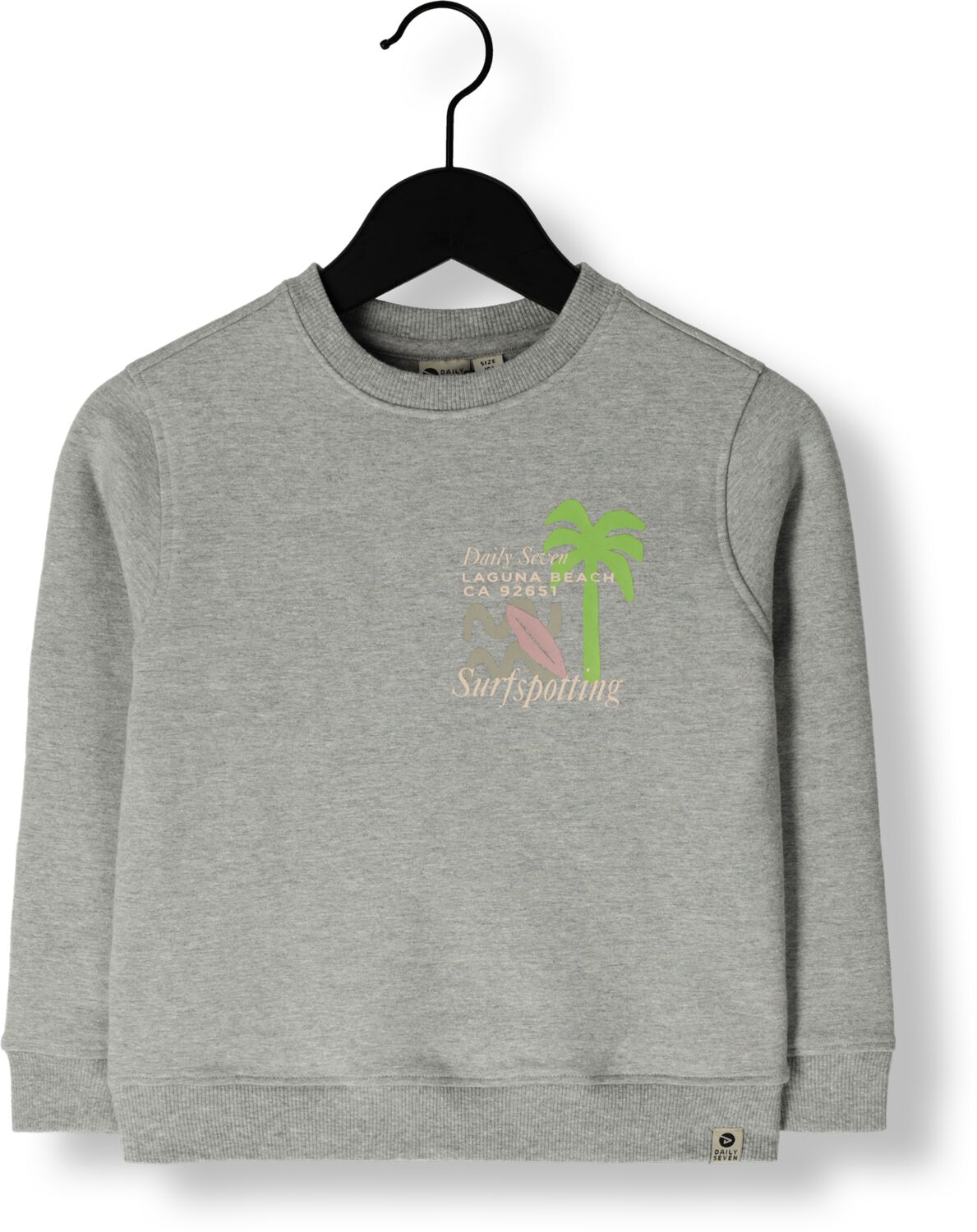 DAILY7 Jongens Truien & Vesten Sweater Textprint Grijs
