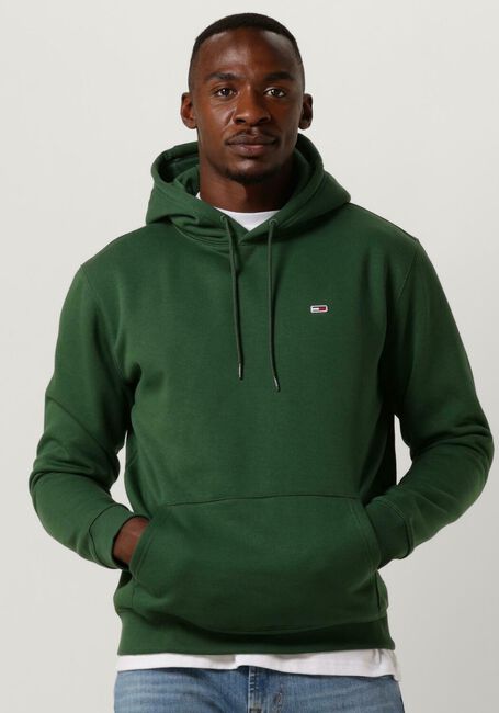 Donkergroene TOMMY JEANS Sweater REGULAR FLEECE HOODIE - large