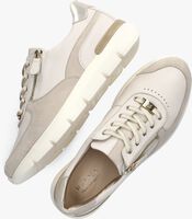 Beige HASSIA Sneakers 301314 - medium