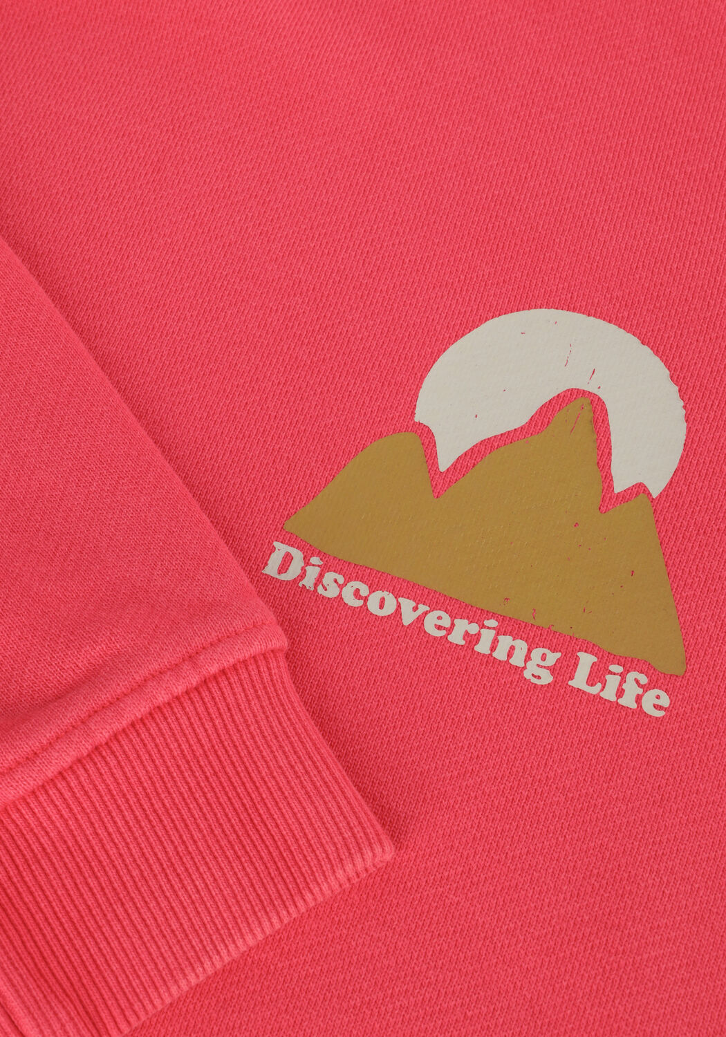 Rode DAILY7 Truien/vesten HOODIE DISCOVERING LIFE - large