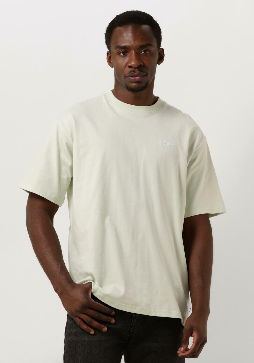 WOODBIRD Heren Polo's & T-shirts Wbbaine Base Tee Mint