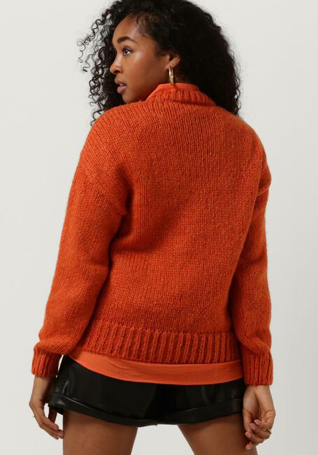 Oranje MODSTRÖM Trui VALENTIA O-NECK - large