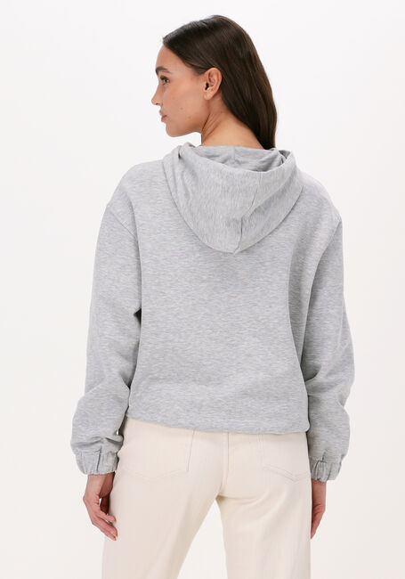 Grijze ALIX THE LABEL Trui ALIX BULL HOODIE - large
